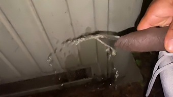 Pissing Exhibitionist Gets Caught And Asked To Flash In Public